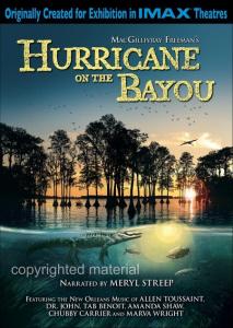 Hurricane on the Bayou