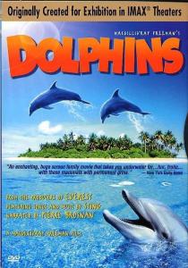 Dolphins