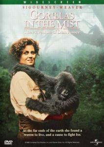 Gorillas in the Mist