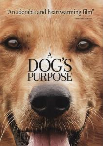 A Dog's Purpose