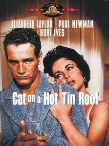 Cat on a Hot Tin Roof