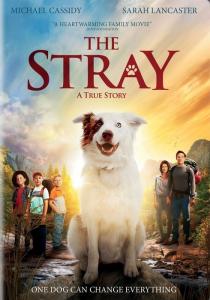 The Stray