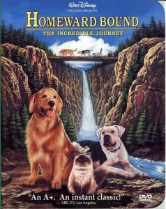 Homeward Bound: The Incredible Journey