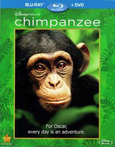 Chimpanzee