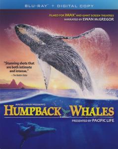 Humpback Whales