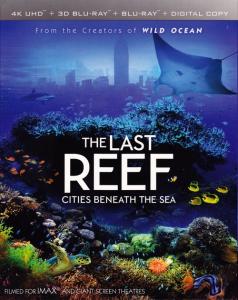 The Last Reef: Cities Beneath the Sea