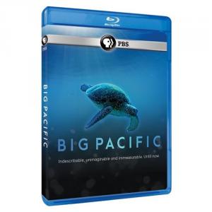 Big Pacific
