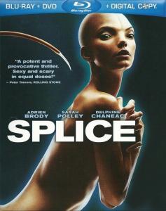 Splice