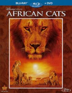 African Cats