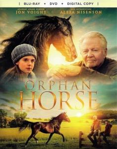 Orphan Horse
